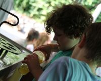 IMG_3356