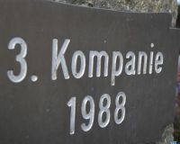 IMG_3510