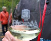 IMG_7458
