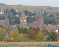 P1000350