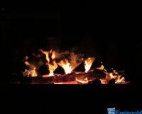 IMG_8105