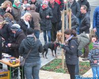 IMG_8853
