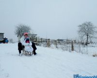 IMG_0307-001
