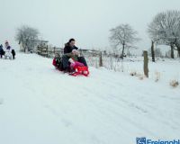 IMG_0305-001