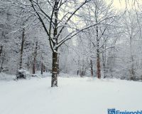 IMG_0300-001