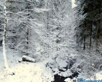 IMG_0298-001
