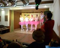 Rmmecker-Karneval 14,02,2015 333