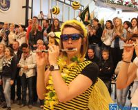 Bild_382