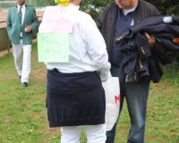 Bild_263