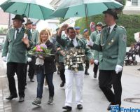 Bild_337