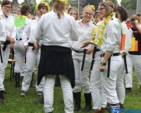 Bild_253