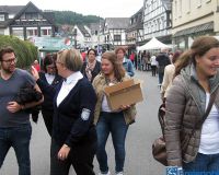 IMG_1971