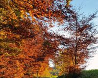 Ortrud_Kordel