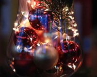 Bild_067