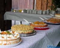 IMG_8209