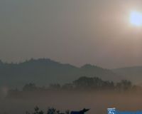 Giesmecke im Nebel 084
