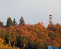 Freienohl im Hebst Küppelturm Hahn Giesmecke Ruhrtal Kirche 1151