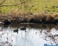 Ruhr im Winter 2016 DSC00425 (3)