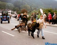 IMG_0024