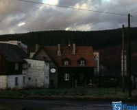 Wildshasen 2012 6816