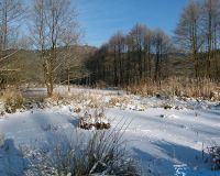 Weiher und Weg dahin 22,01,2016P1270808 (25)