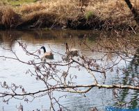 Ruhr im Winter 2016 DSC00415 (5)