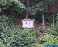 IMG_9135