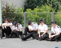 Bild_201