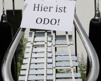 Bild_203