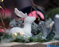 Bild_024