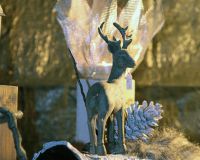 Bild_092