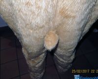 IMG_0904