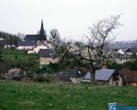 DSC01419