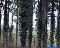 DSC01463