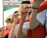Bild_153