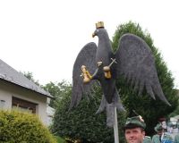 IMG_9864