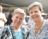 Bild_252