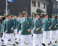 Bild_131