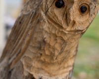 750JahreFreienohl_Samstag_Bild-090