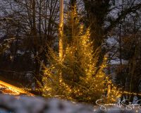 Freienohler-Weihnachtsmarkt-2023_Bild-103