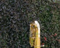 Schuetzenfest_Sonnstag_Bild-085