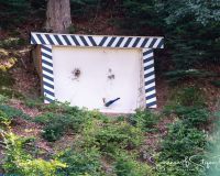 Schutzenfest2024_Montag_Bild-112