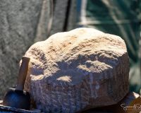 Weihnachtsmarkt-Samstag-2025_Bild-033