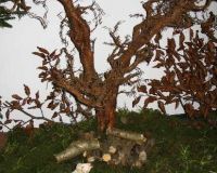 IMG_0351