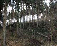 Giesmecke1