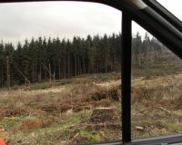 Hellefelder_Hoehe04