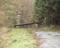 Weg_zum_kueppelturm2
