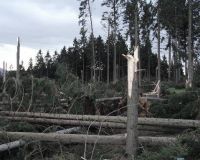 Siedlung3