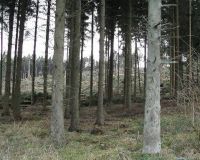 Hellefelder_Hoehe03