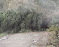 Rietbuesche08